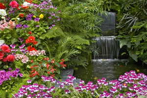 多彩花园找金币