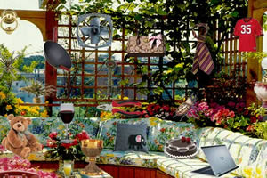 屋顶花园找东西