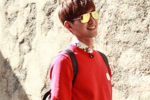 花儿与少年七姐弟