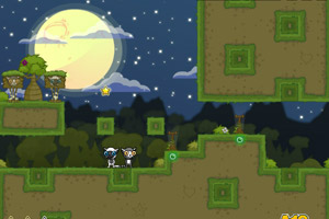 月夜狐猴大冒险