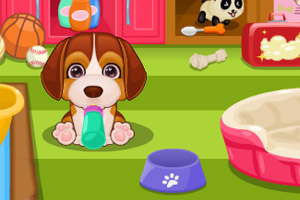 照顾宠物小狗