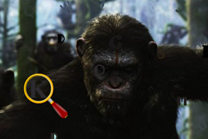 猩球崛起找字母