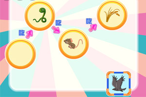 呆呆超人之动物食物链