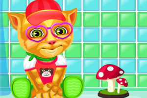 装扮你的金杰猫