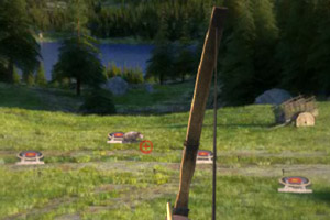 孤城神箭中文无敌版