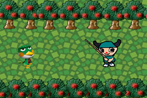 寻找丛林小动物