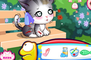 玩具小医生关爱小猫中文版