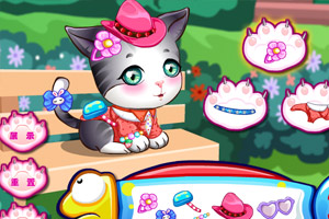 玩具小医生关爱小猫中文版