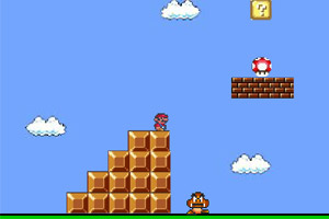 马里奥幻想世界