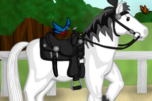 你心目中的小马儿