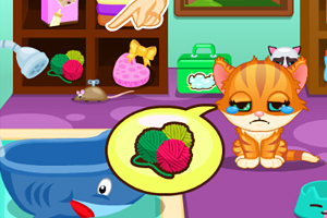 可爱的宠物小猫