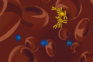 显微镜下小战争