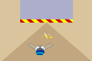 苍蝇躲避障碍