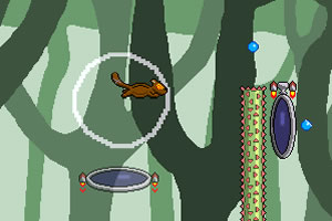 小松鼠生存挑战