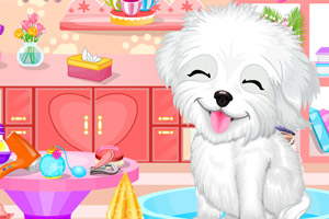 可爱狗狗的神奇护理