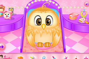 照顾可爱猫头鹰