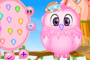 照顾可爱猫头鹰