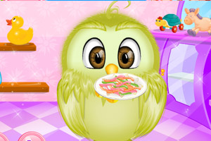 照顾可爱猫头鹰