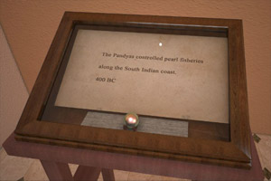 化石博物馆逃生