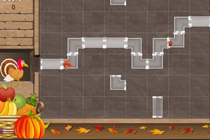 火鸡接水管送水果