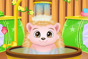 照顾刺猬小宝贝