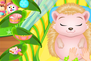 照顾刺猬小宝贝