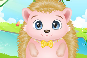 照顾刺猬小宝贝