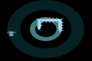 冷冻的昆虫猎人