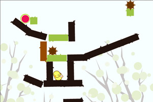 爱吃水果的鸟儿