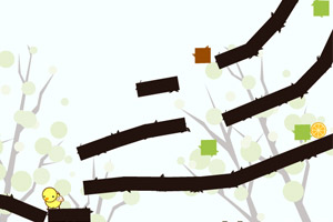 爱吃水果的鸟儿