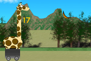 吃香蕉的长颈鹿