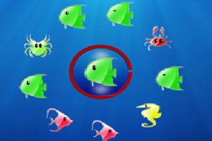 海底生物大转盘