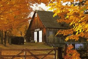 感恩节寻找金币