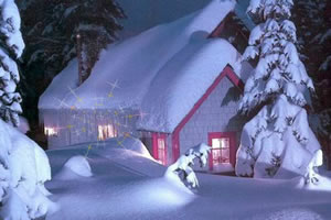 隐藏的星之雪屋