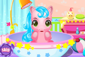 照顾宝贝小马驹