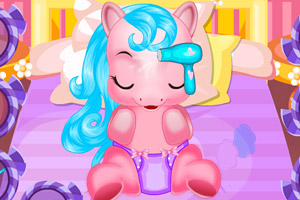 照顾宝贝小马驹