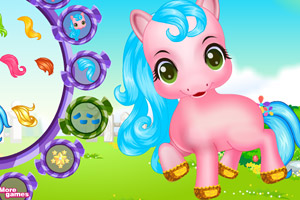 照顾宝贝小马驹