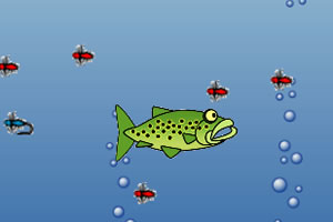 水中鱼儿的一天