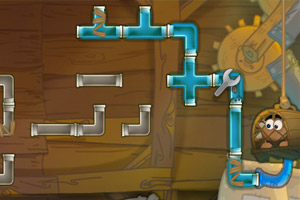 释放被囚禁的动物