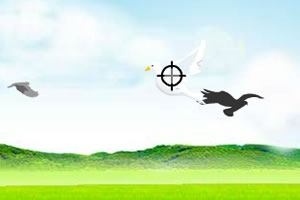 疯狂的射击小鸟