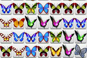 昆虫系列连连看