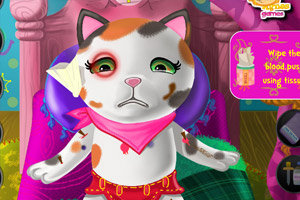 卡利警长受伤了