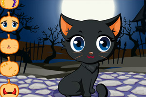 猫咪的万圣节