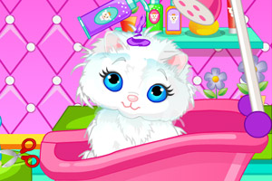 可爱宠物猫洗澡