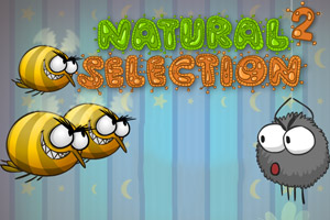 小毛球大战蚊子2