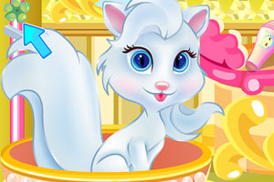 公主照顾宠物猫