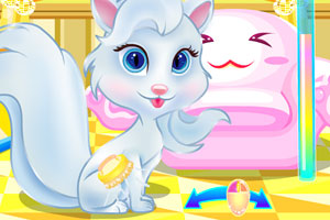 公主照顾宠物猫