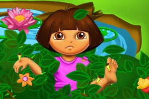 朵拉骨折住院了