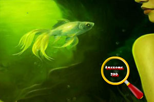 星星美人鱼找星星