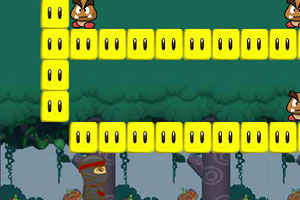 忍者闯马里奥世界